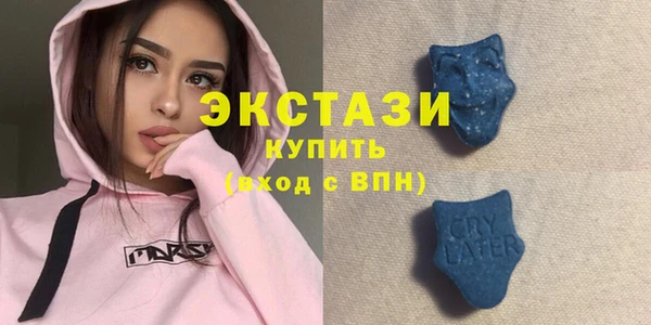 ECSTASY Ельня